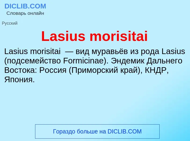 Что такое Lasius morisitai - определение