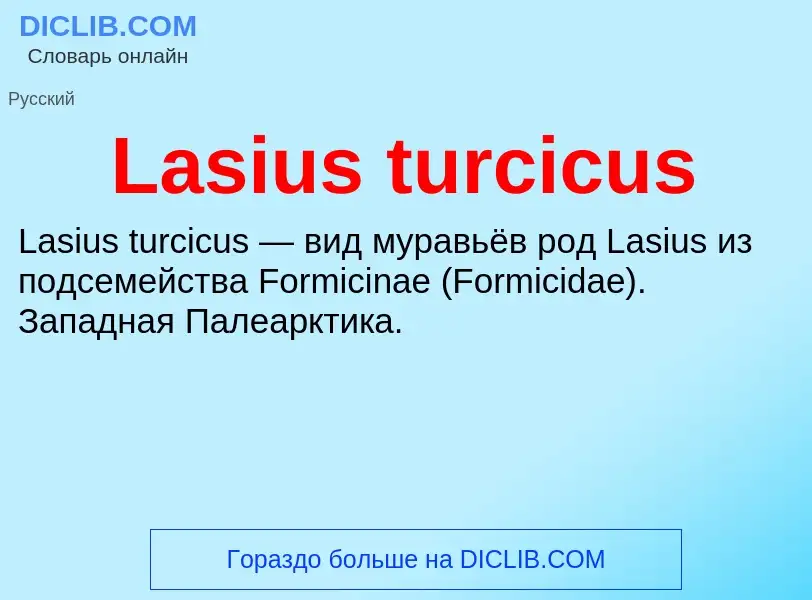 Что такое Lasius turcicus - определение