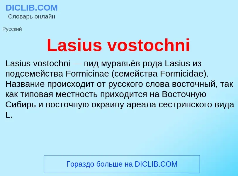 Что такое Lasius vostochni - определение