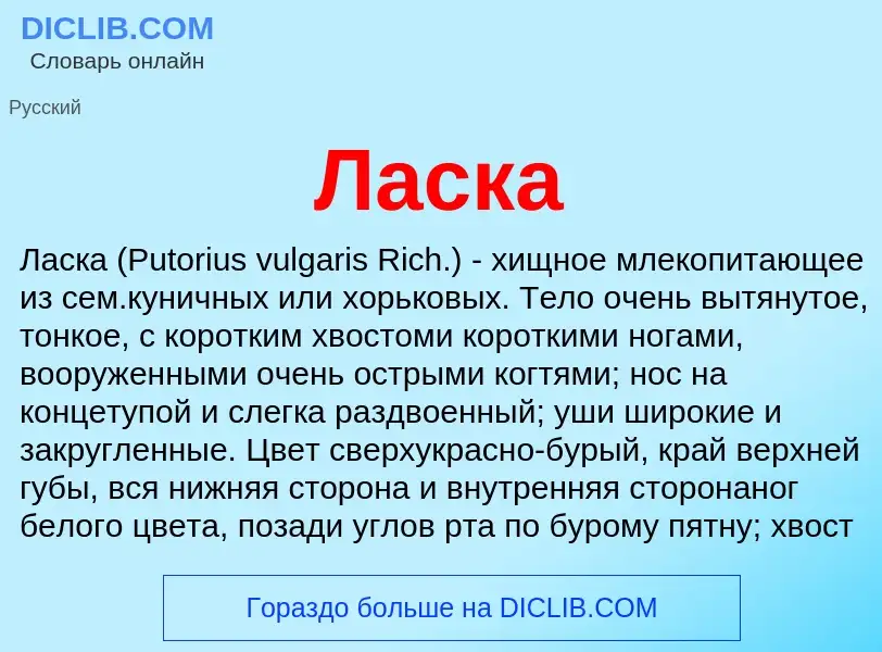 Что такое Ласка - определение