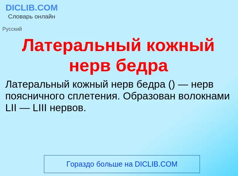 Что такое Латеральный кожный нерв бедра - определение