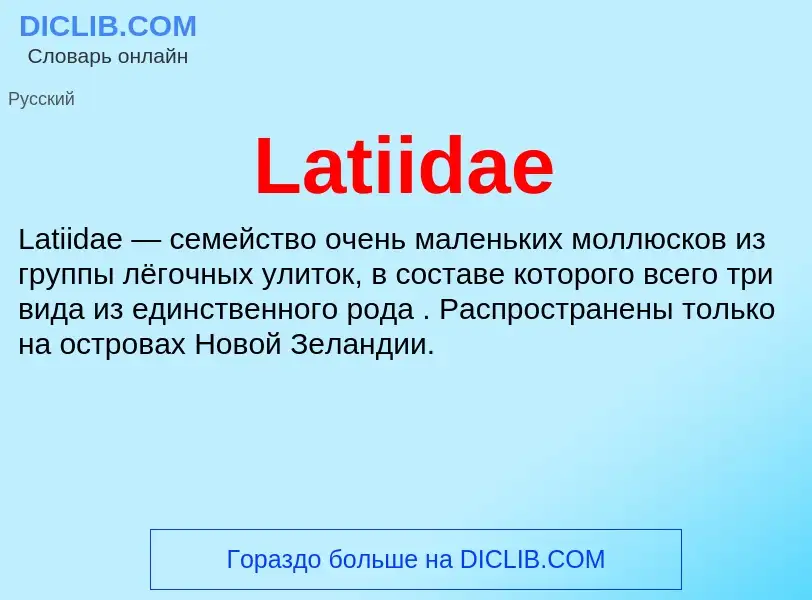 Что такое Latiidae - определение