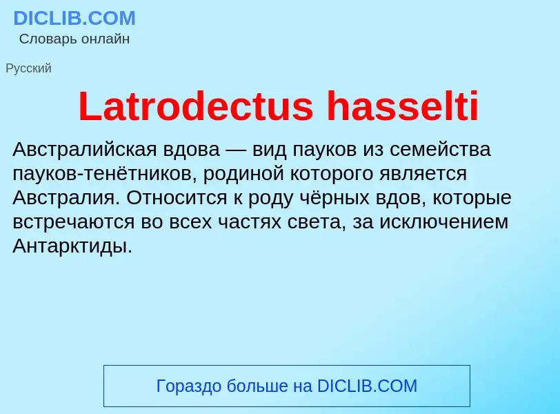 Что такое Latrodectus hasselti - определение