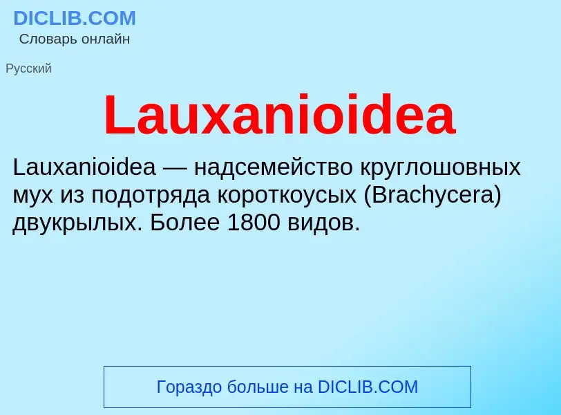 Что такое Lauxanioidea - определение