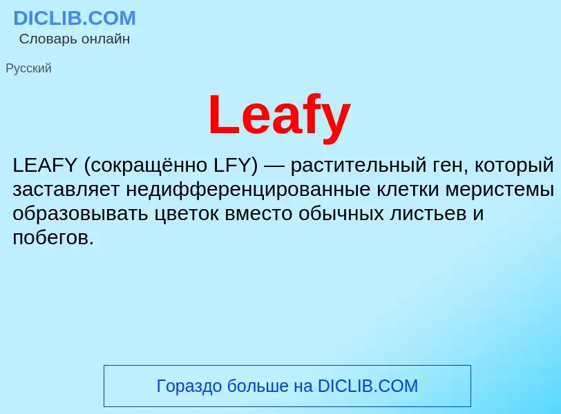 Что такое Leafy - определение