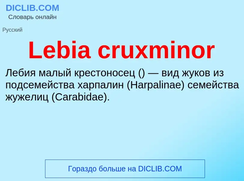 Что такое Lebia cruxminor - определение