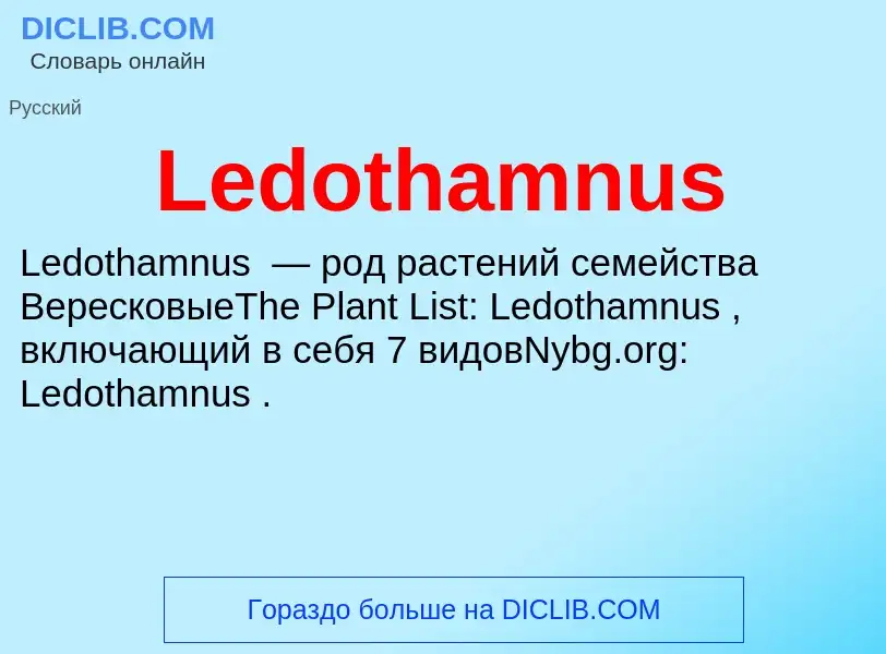 Was ist Ledothamnus - Definition