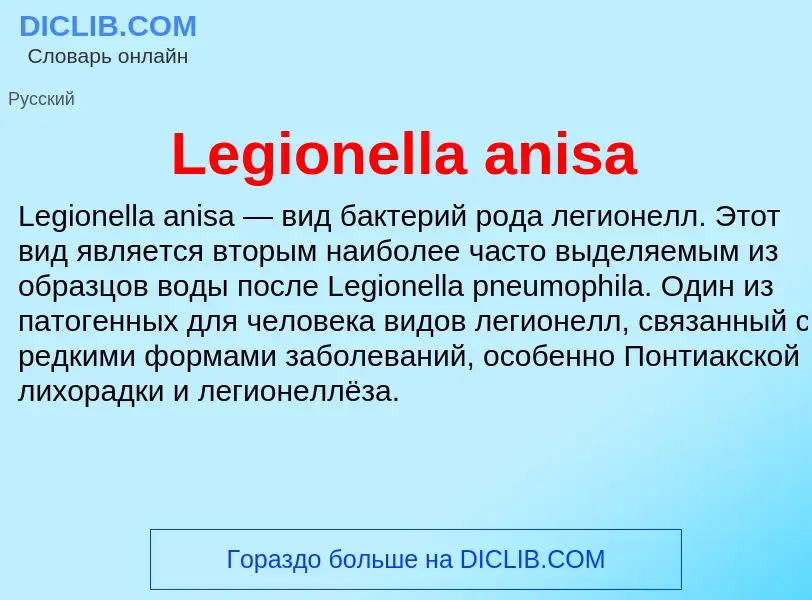 Was ist Legionella anisa - Definition