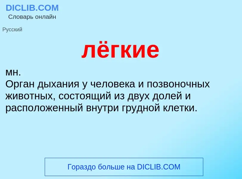 What is лёгкие - definition