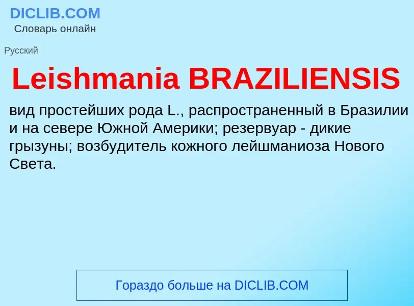 Что такое Leishmania BRAZILIENSIS - определение