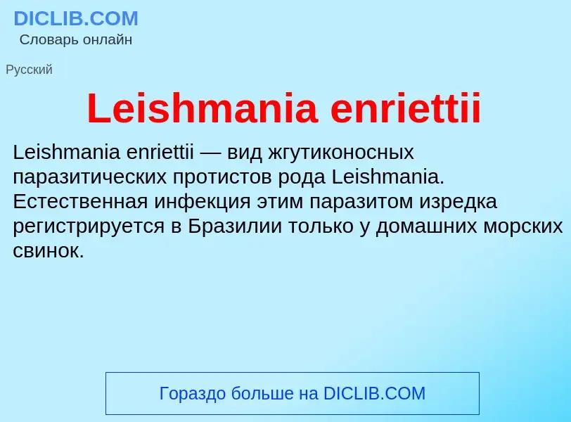 Was ist Leishmania enriettii - Definition