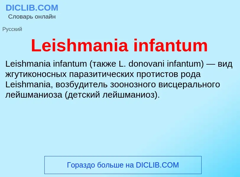 Что такое Leishmania infantum - определение