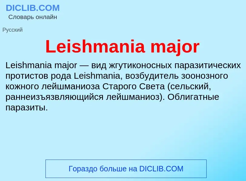 Что такое Leishmania major - определение