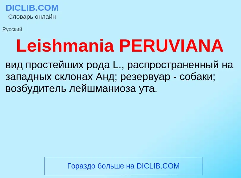 Что такое Leishmania PERUVIANA - определение