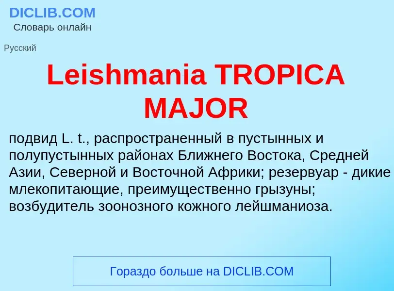 Что такое Leishmania TROPICA MAJOR - определение