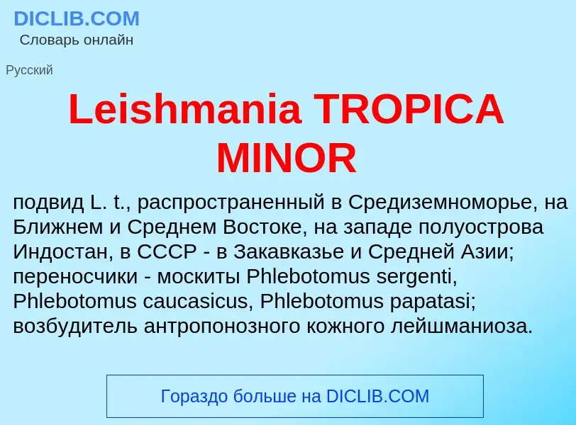 Was ist Leishmania TROPICA MINOR - Definition