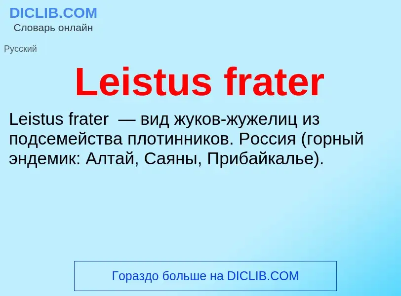 Что такое Leistus frater - определение