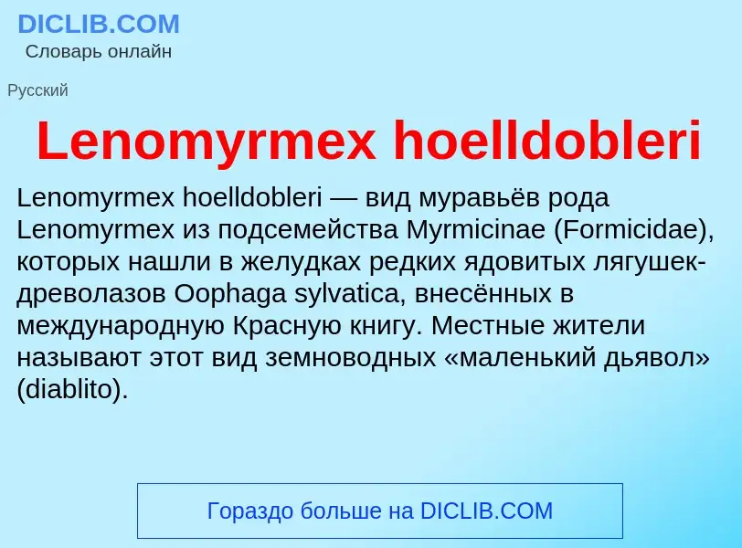 Was ist Lenomyrmex hoelldobleri - Definition