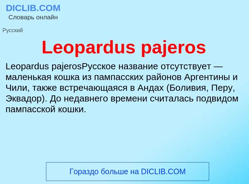 Was ist Leopardus pajeros - Definition