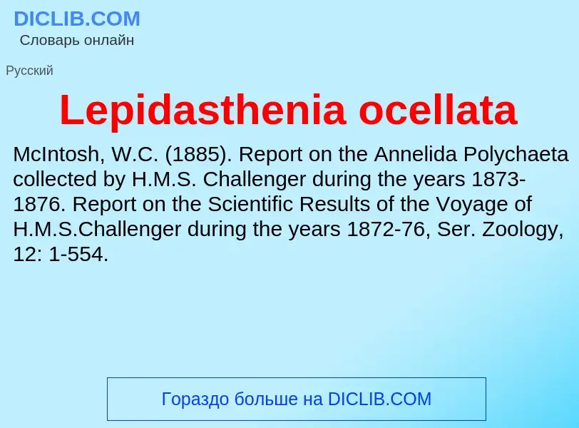 Was ist Lepidasthenia ocellata - Definition