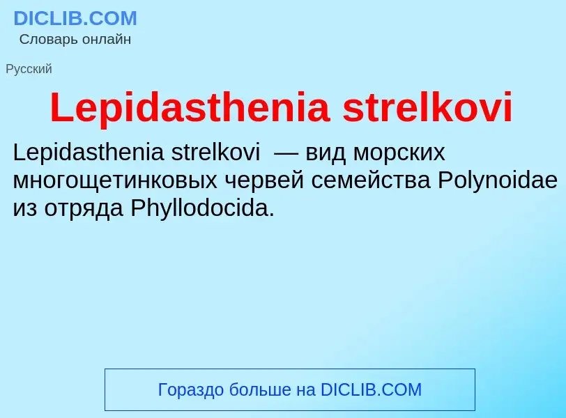 Was ist Lepidasthenia strelkovi - Definition