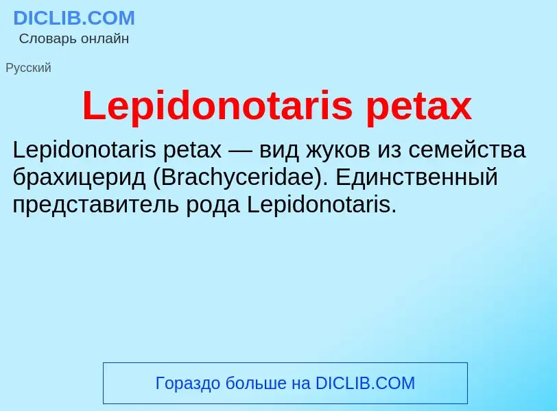 Was ist Lepidonotaris petax - Definition