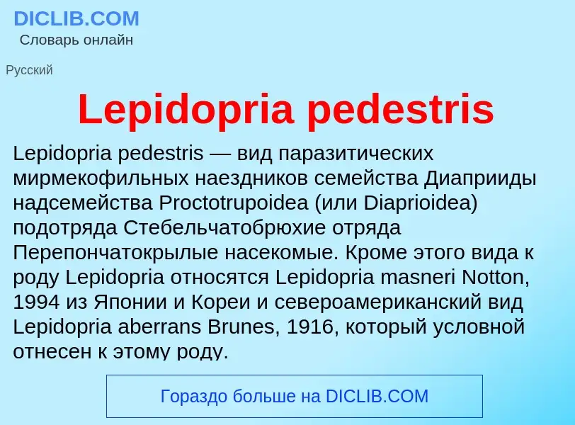 Was ist Lepidopria pedestris - Definition