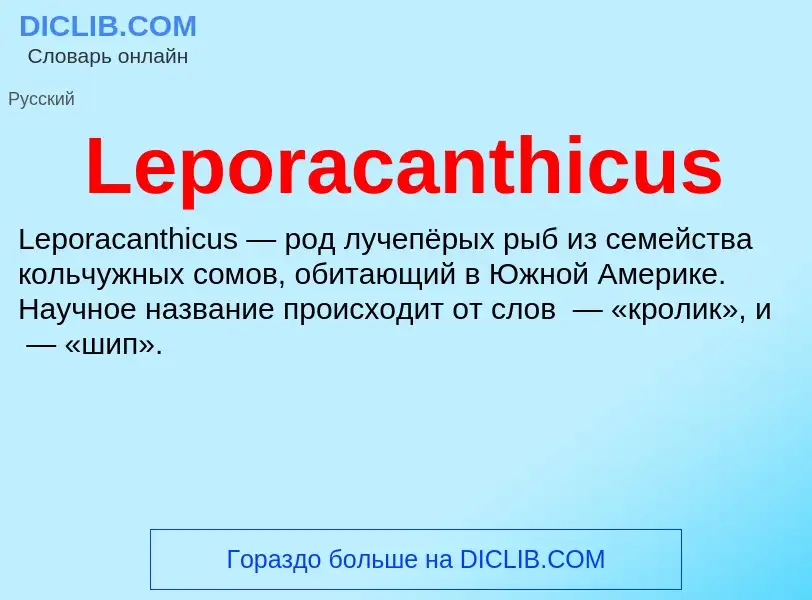 Was ist Leporacanthicus - Definition