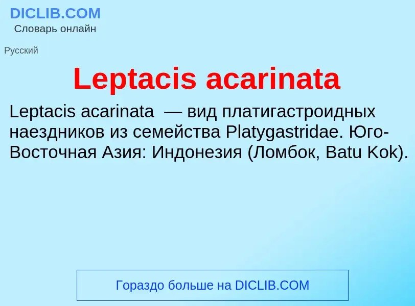 Was ist Leptacis acarinata - Definition