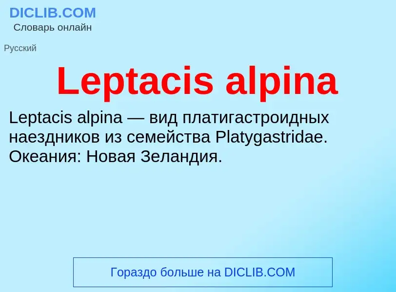 Was ist Leptacis alpina - Definition