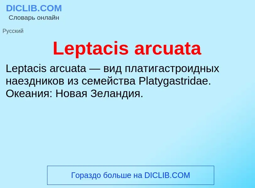 Was ist Leptacis arcuata - Definition