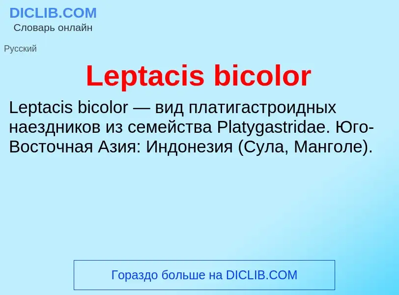 Was ist Leptacis bicolor - Definition