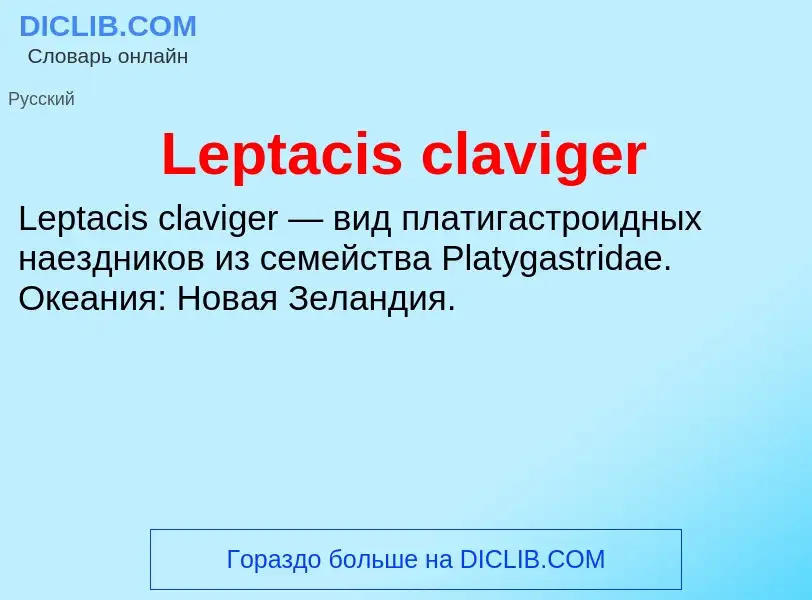 Что такое Leptacis claviger - определение