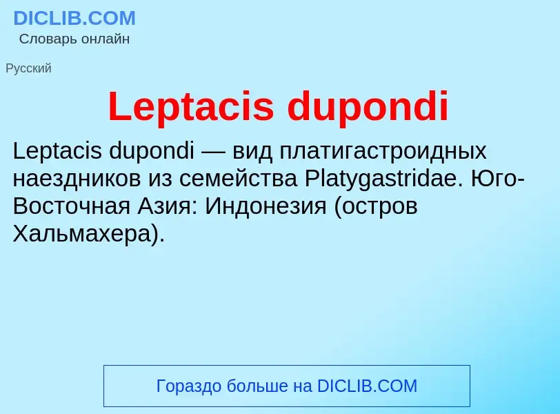 Was ist Leptacis dupondi - Definition