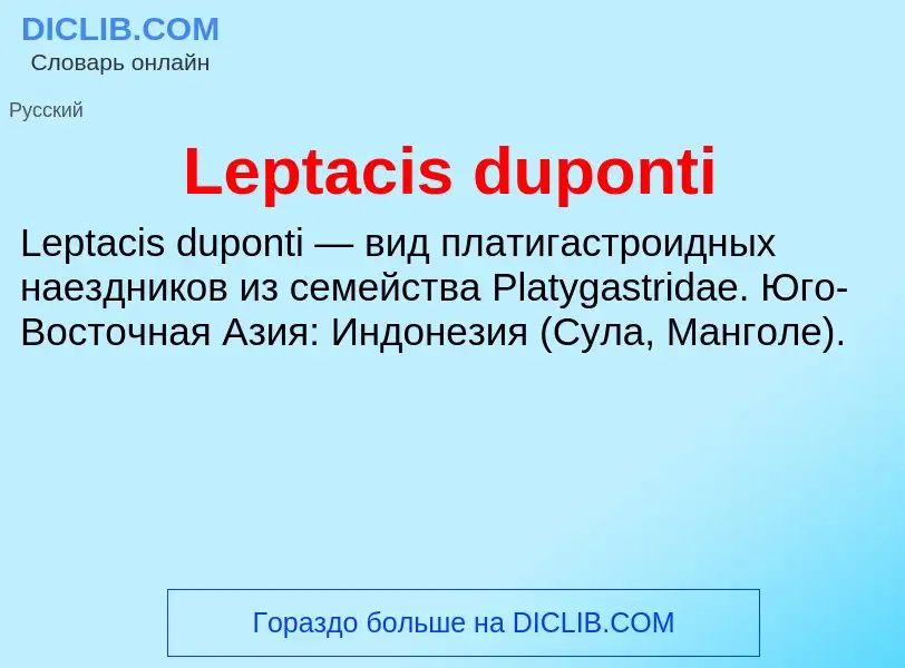 Was ist Leptacis duponti - Definition