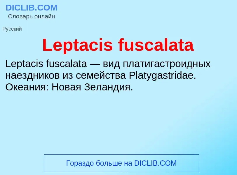 Was ist Leptacis fuscalata - Definition