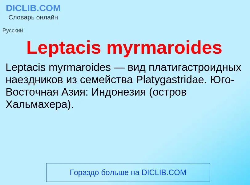 Was ist Leptacis myrmaroides - Definition