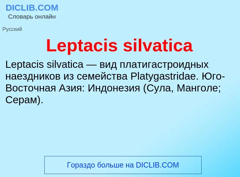 Was ist Leptacis silvatica - Definition