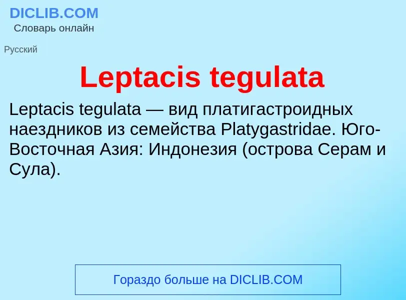 Was ist Leptacis tegulata - Definition