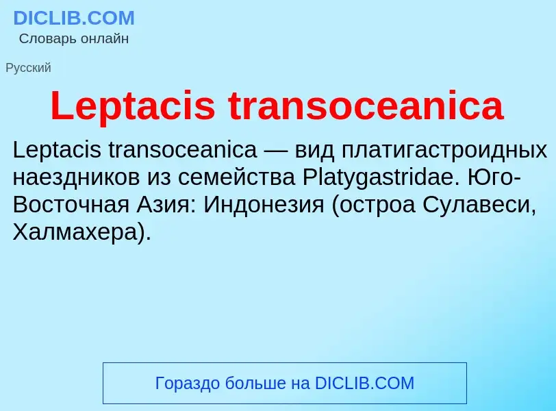 Was ist Leptacis transoceanica - Definition