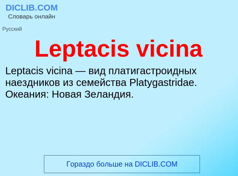 Was ist Leptacis vicina - Definition