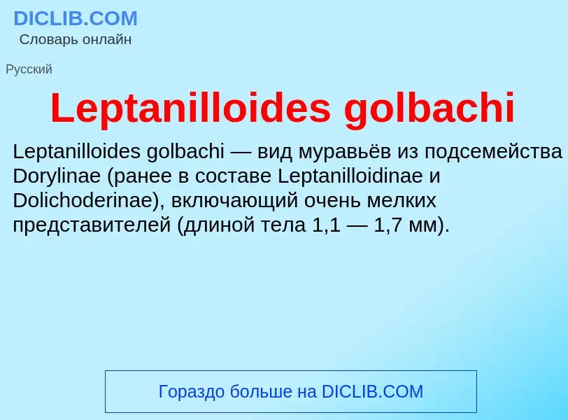 Что такое Leptanilloides golbachi - определение