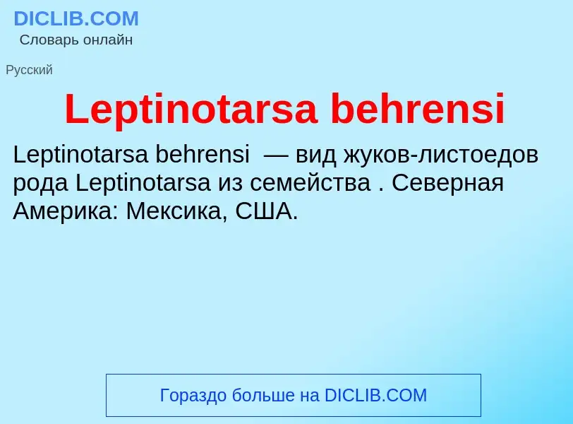 Was ist Leptinotarsa behrensi - Definition