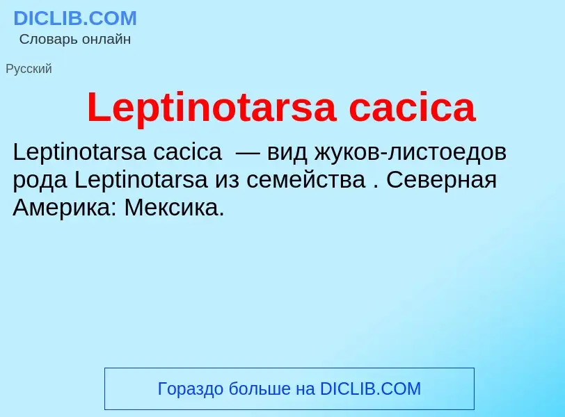 Was ist Leptinotarsa cacica - Definition