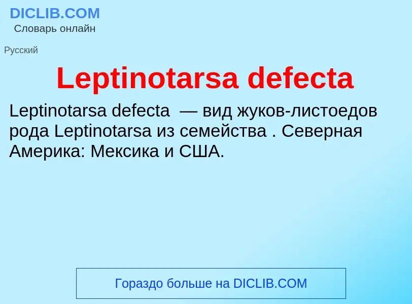 Was ist Leptinotarsa defecta - Definition