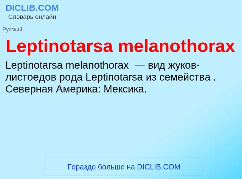 Что такое Leptinotarsa melanothorax - определение