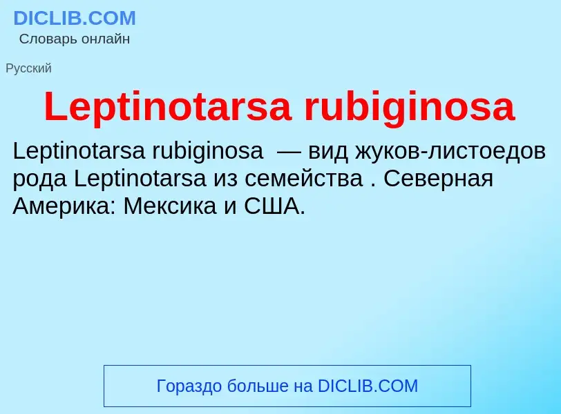 Was ist Leptinotarsa rubiginosa - Definition