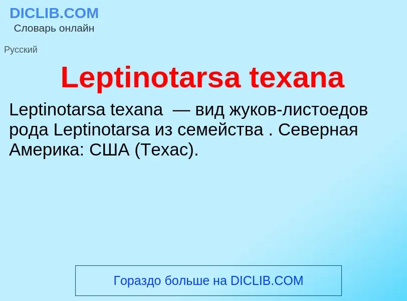 Was ist Leptinotarsa texana - Definition