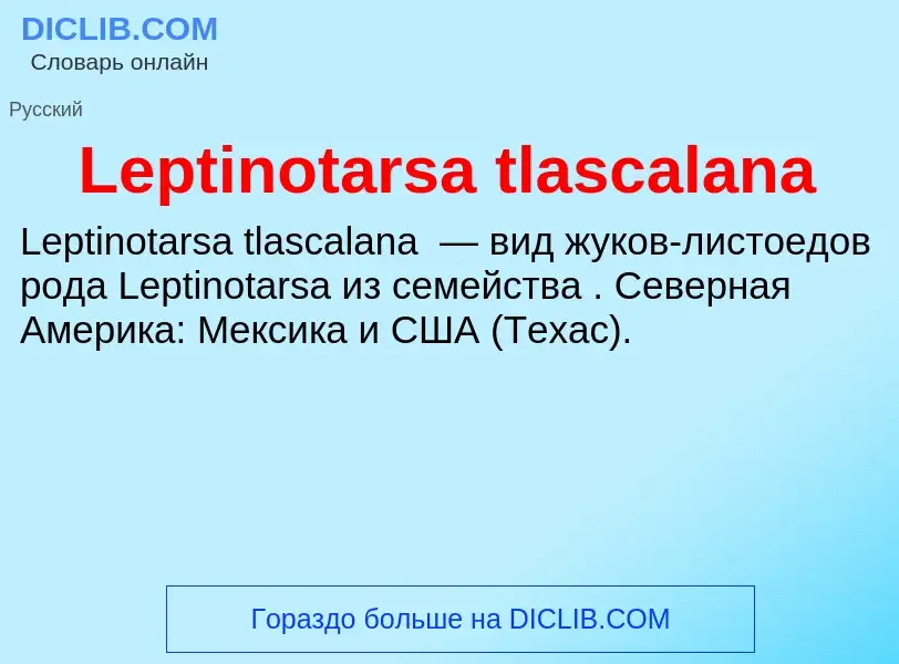 Was ist Leptinotarsa tlascalana - Definition