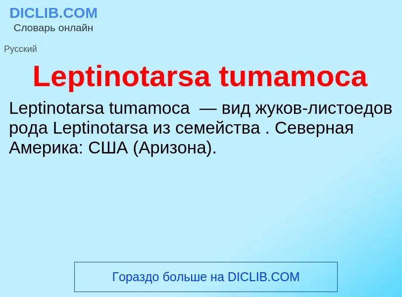 Что такое Leptinotarsa tumamoca - определение